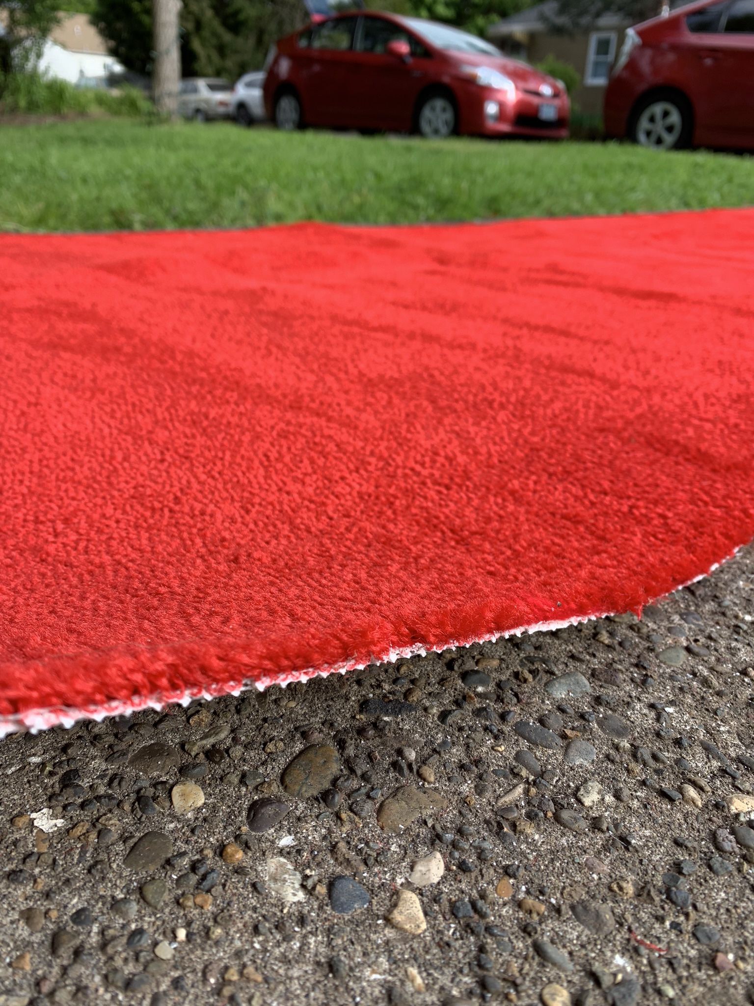 Red Carpet 23’x41”