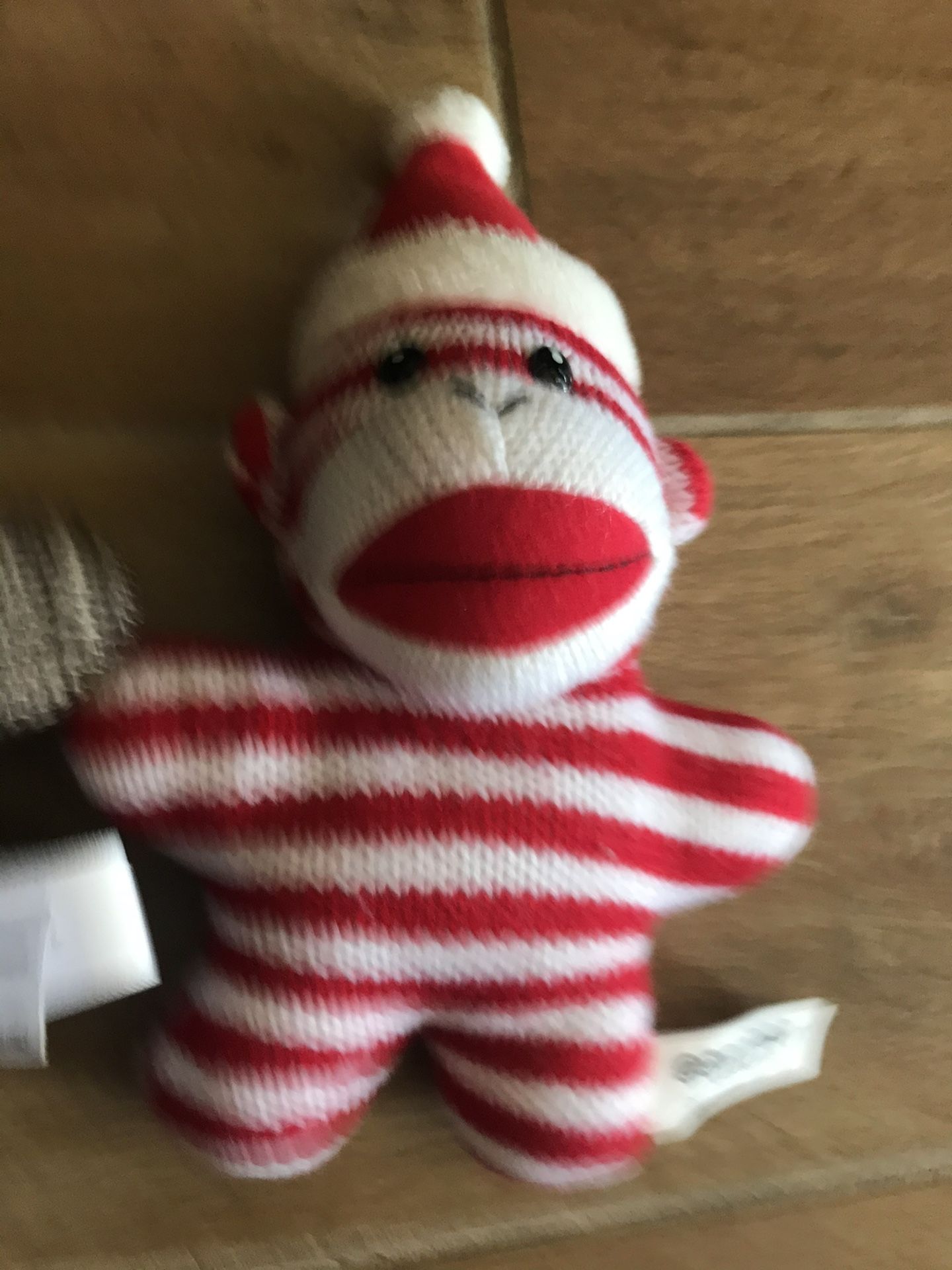 Mini Sock Monkeys