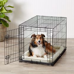 Dog Crate Single Door - Medium Thumbnail