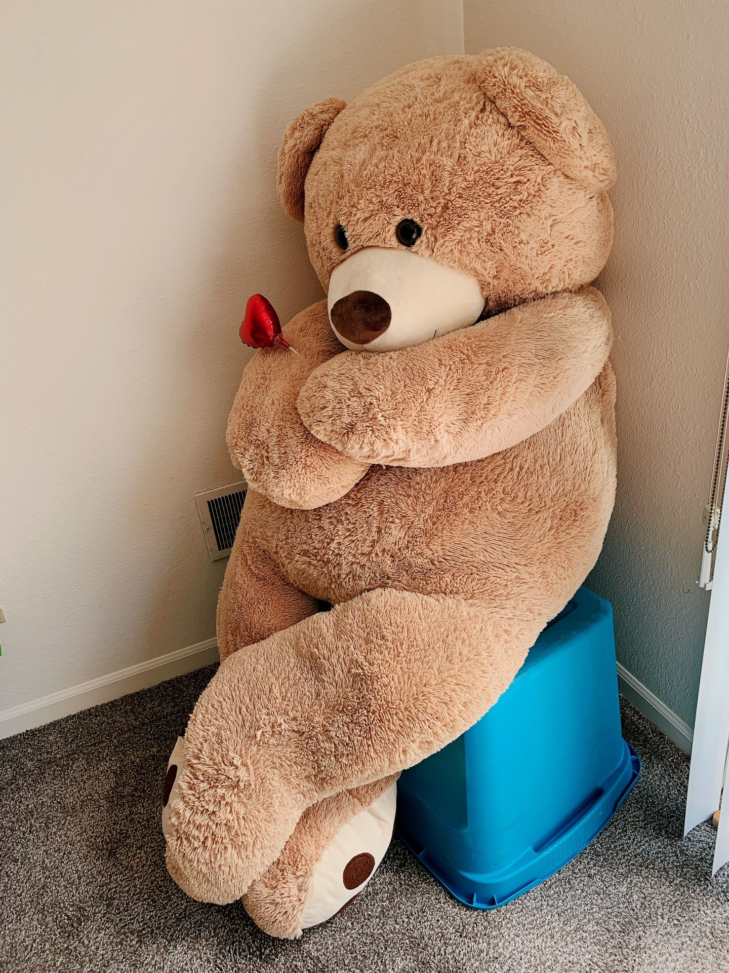 Giant Teddy Bear