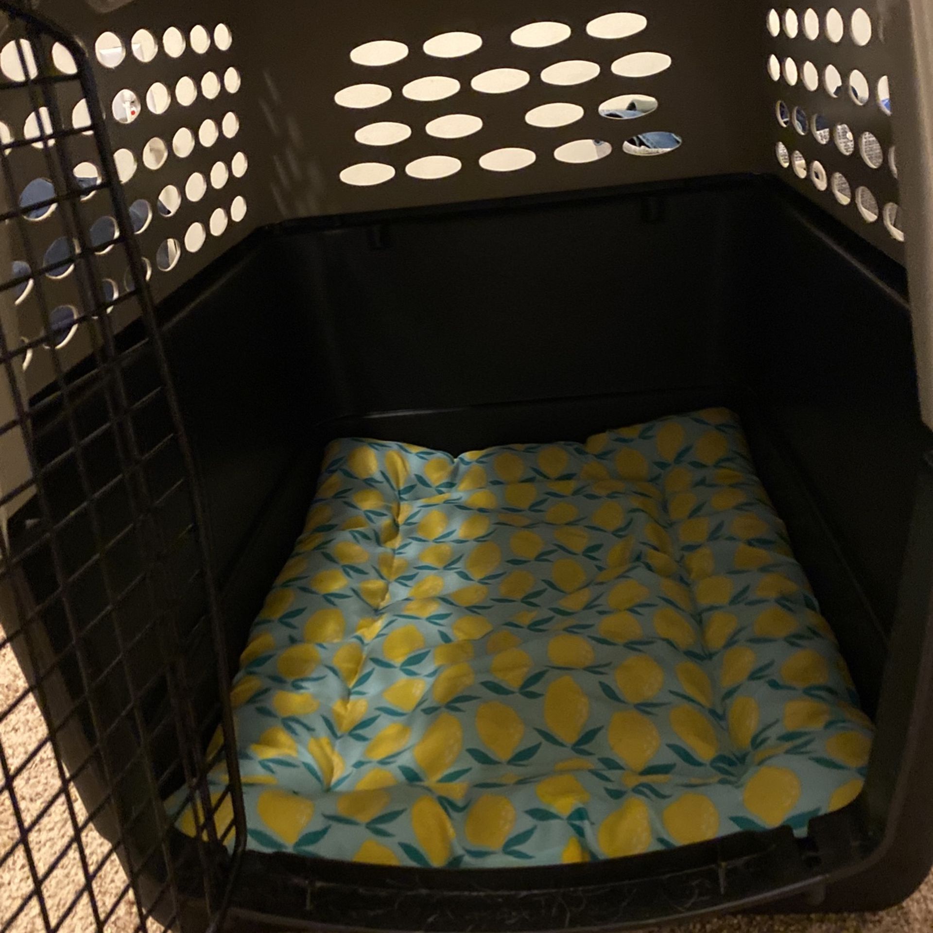 Medium Beige Dog Crate - Up To 35lbs