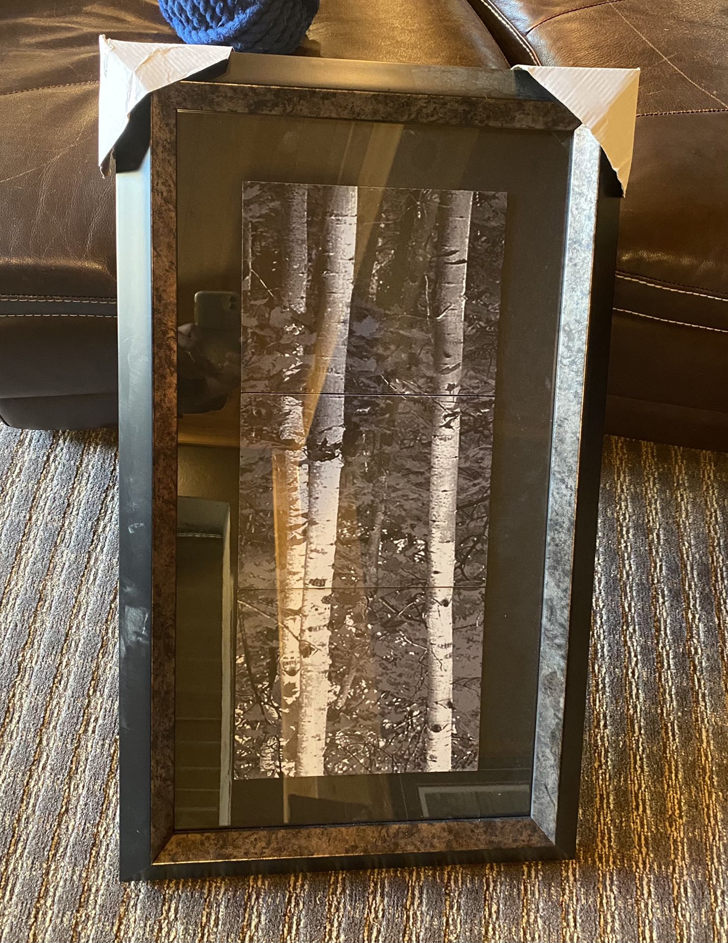 Framed Birch Tree Artwork NEW