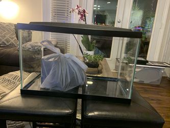 10 Gallon Aqueon Fish Tank - Cleaned For Pick-Up :) Thumbnail