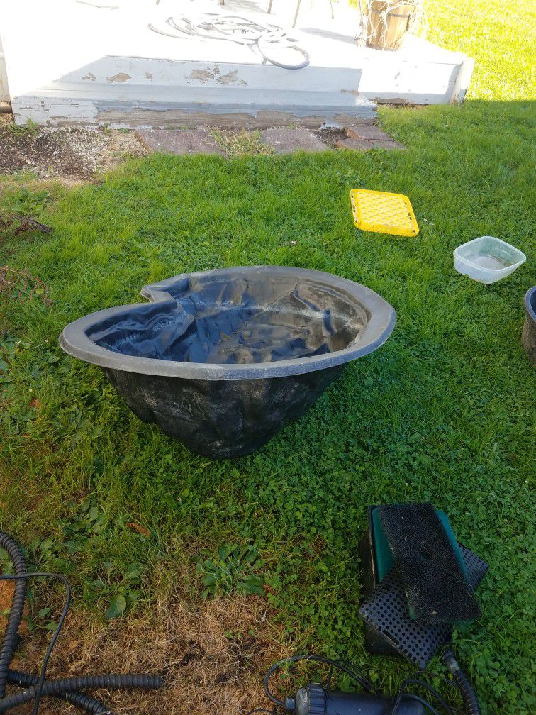 An In-ground Pond With Pump And Chicken Coop Feeders