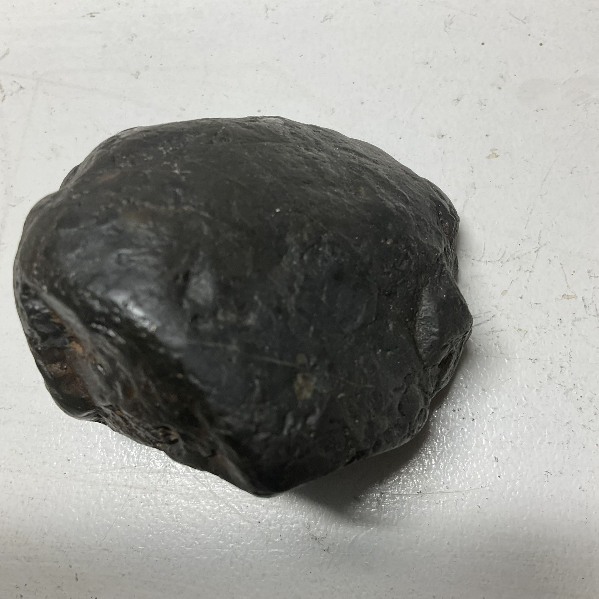 312 Grammies Meteroite
