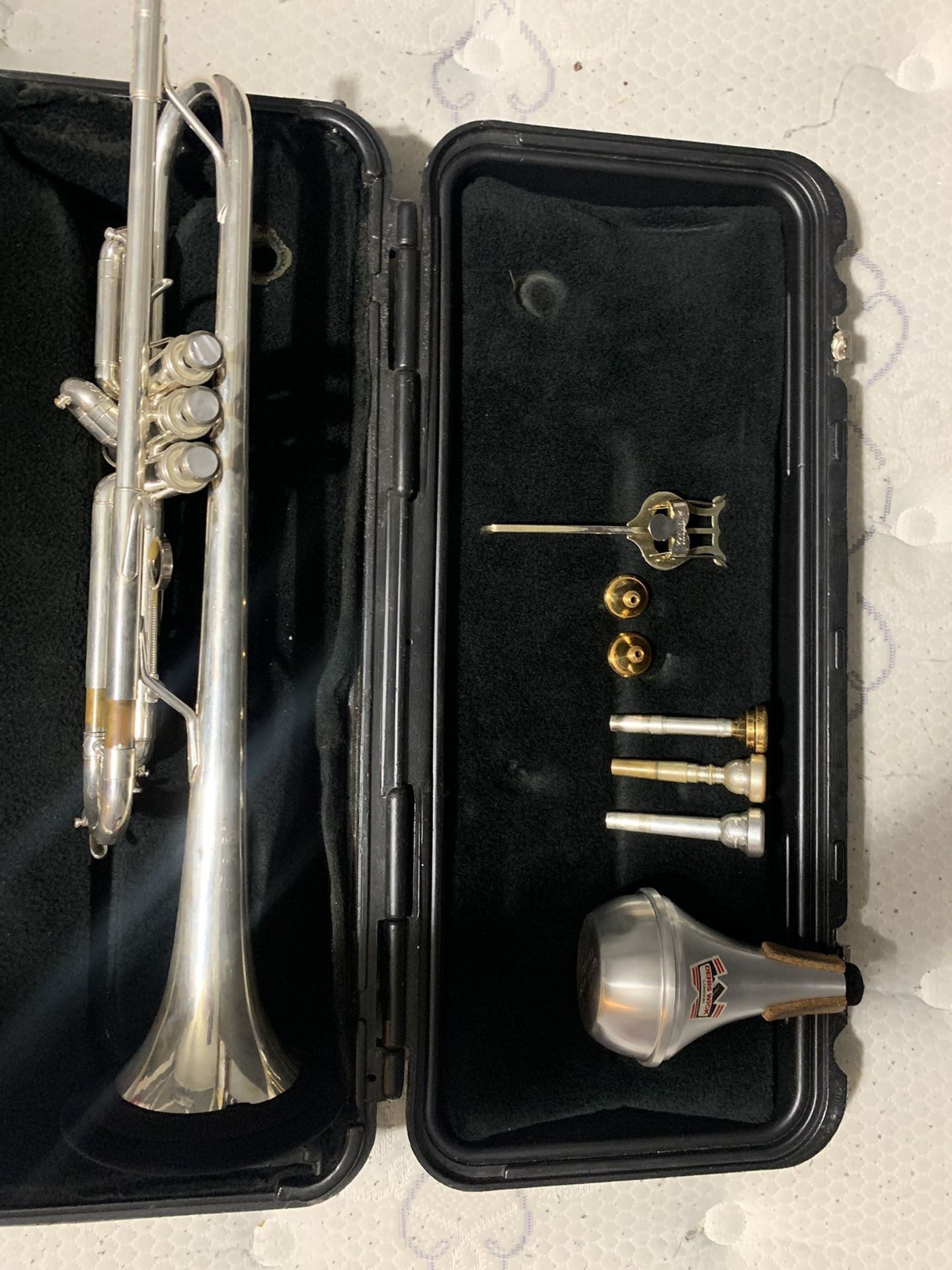 Silver Bach TR-300