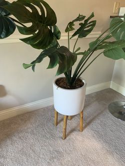 Artificial Foliage Plant In Planter Thumbnail
