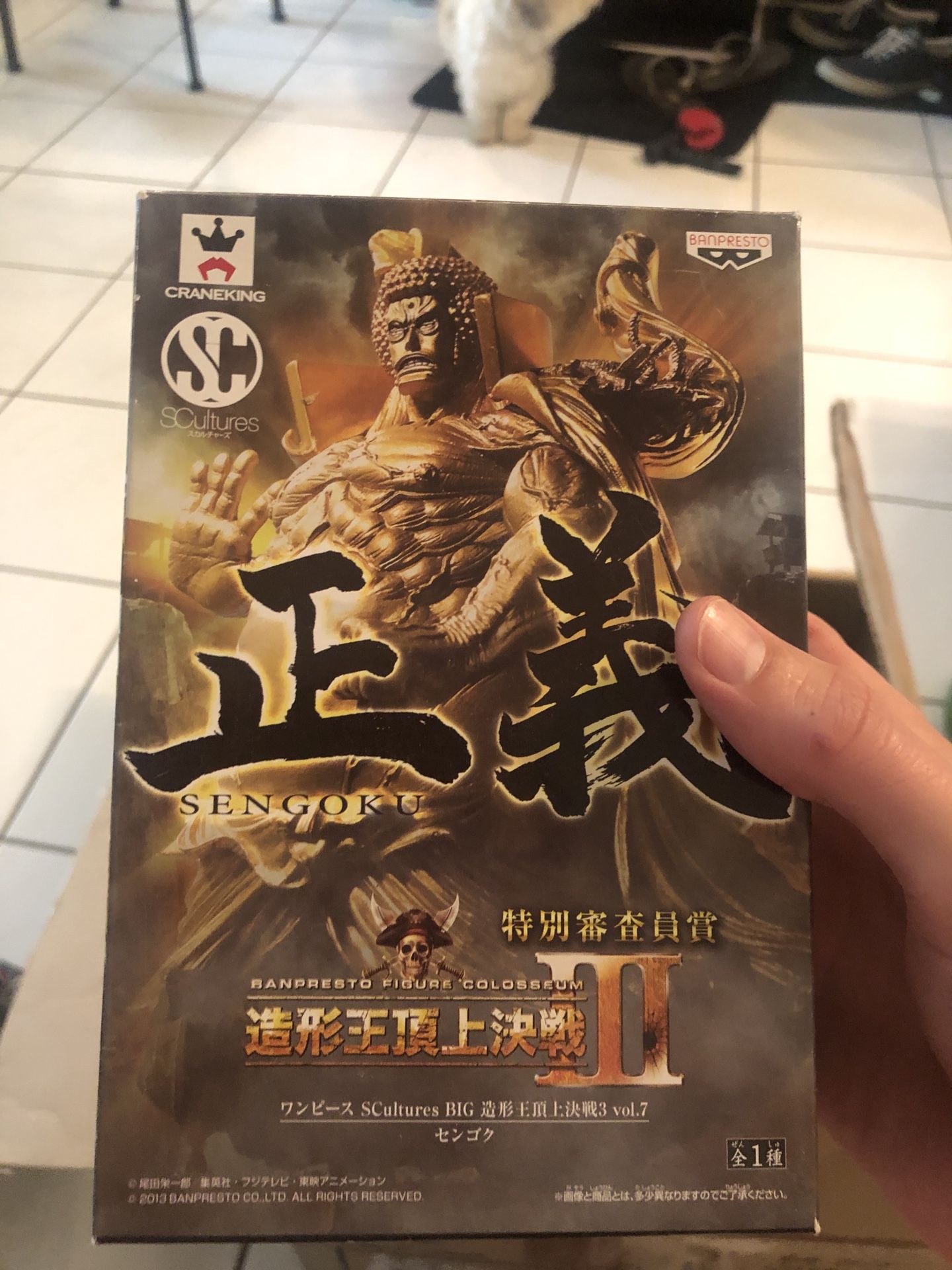 One Piece anime figures viewing