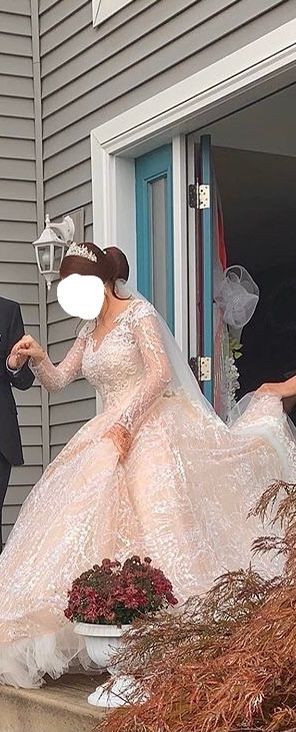 European Wedding dress With Veil
