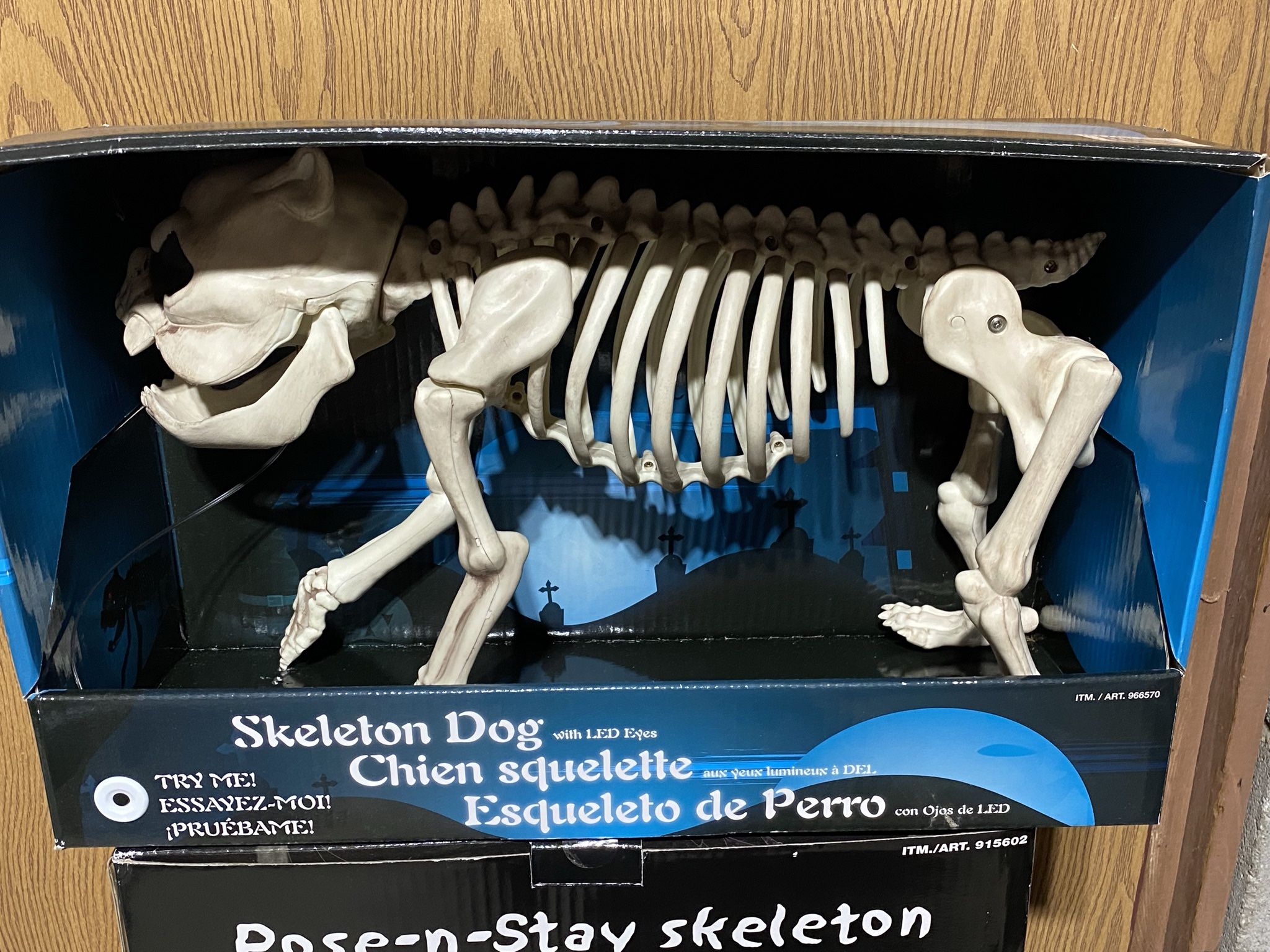 Halloween Skeletons
