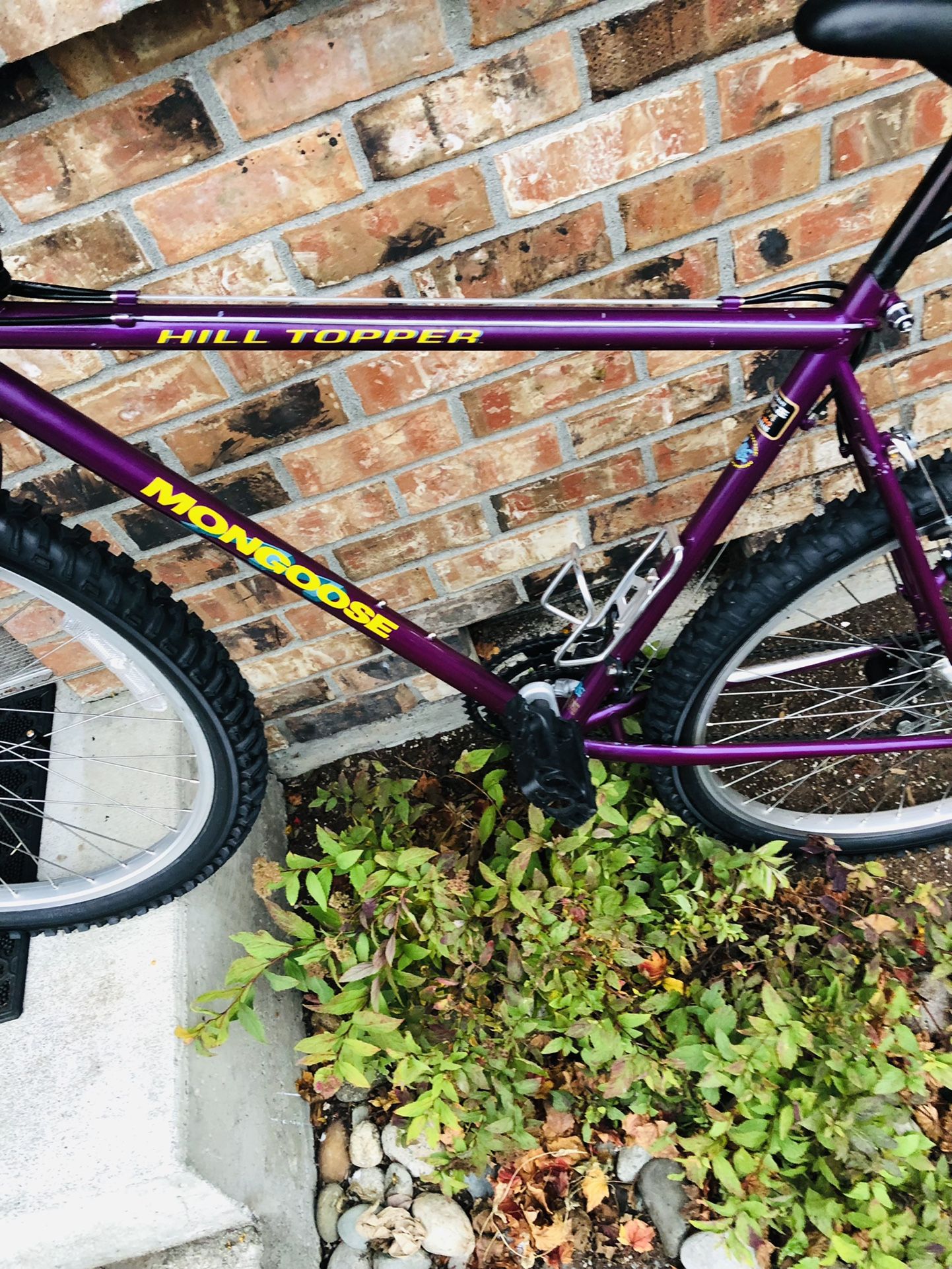 Mens Large Mongoose Mountain Bike
