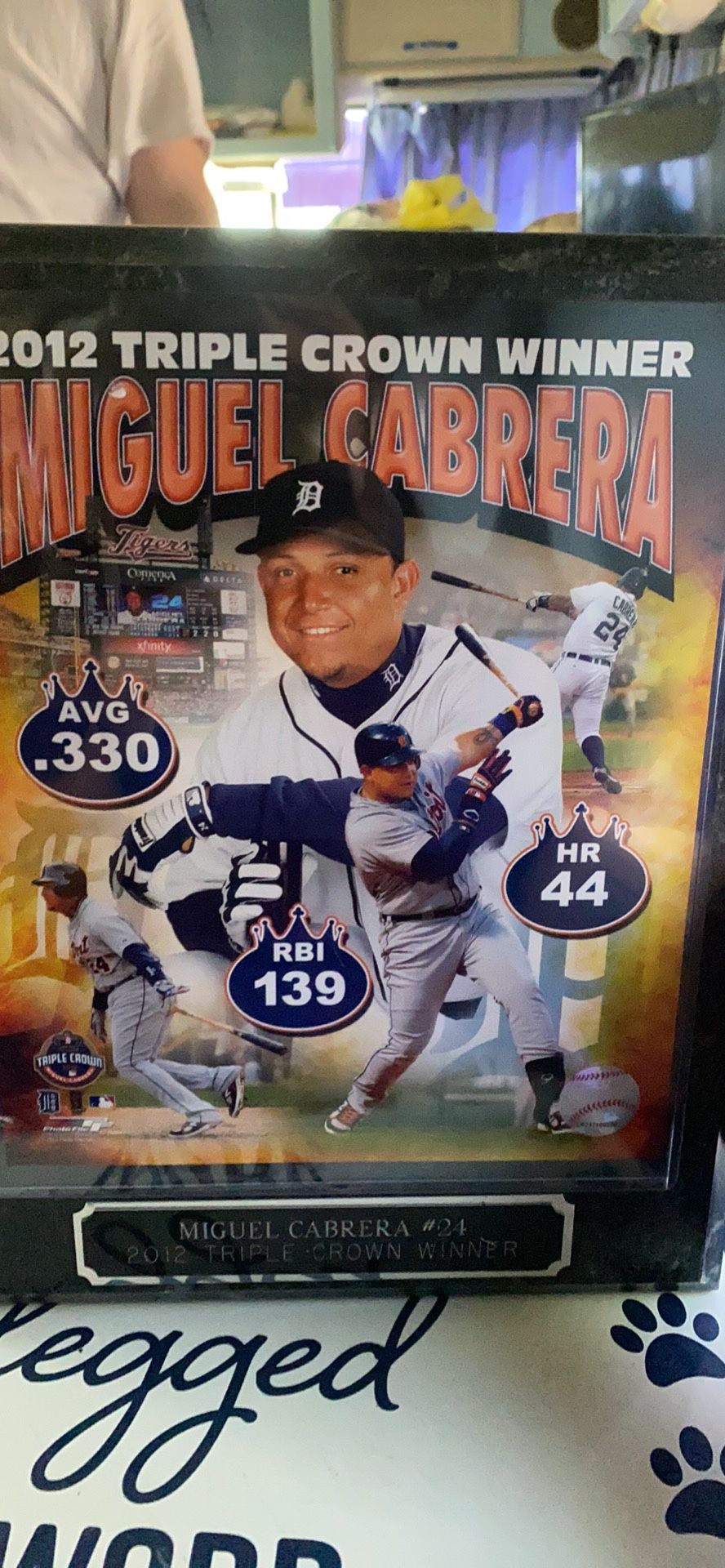 Sports Memorabilia Collectables