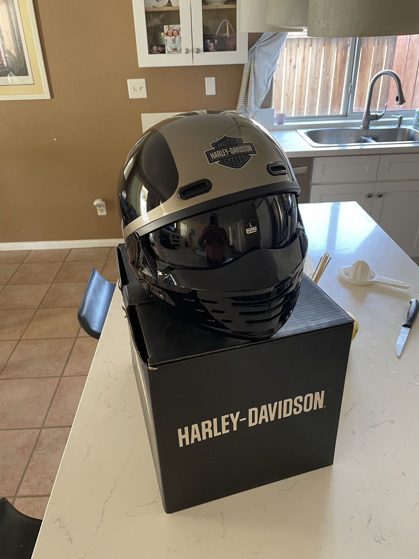 Harley Davidson Helmet Bought For 300.00 Brand New