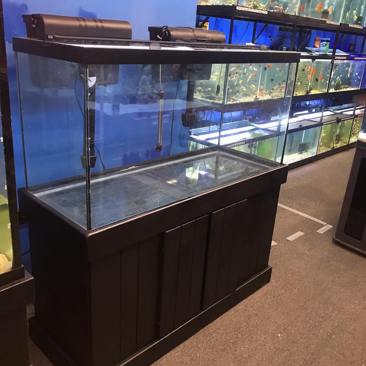 90 gallon Aquarium Fish Tank Complete $600