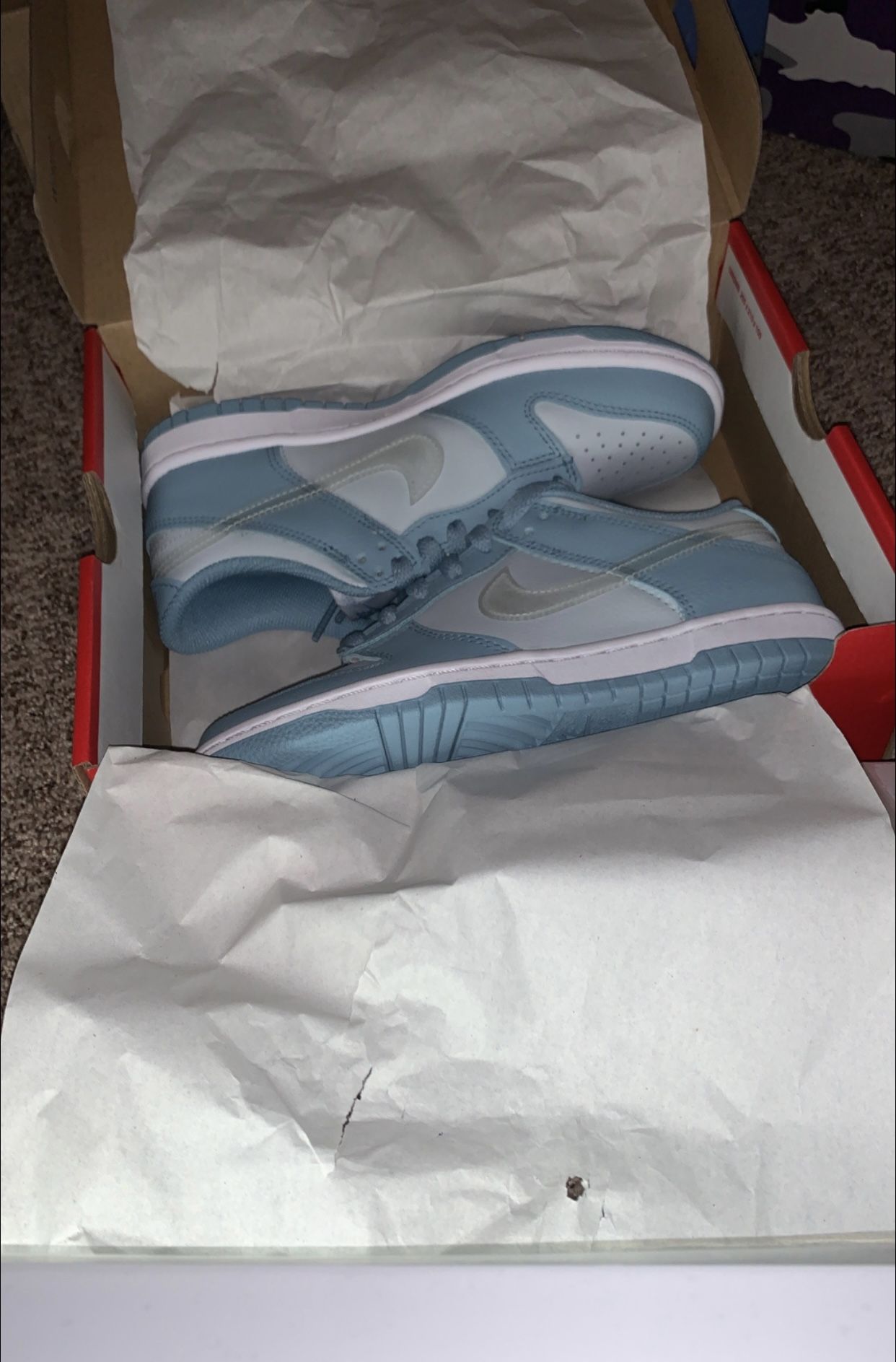 Nike Dunk Low Clear Swoosh