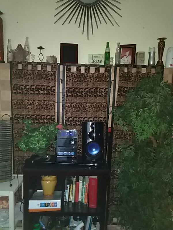 Pier 1 Imports Zebra and elephant print room partition