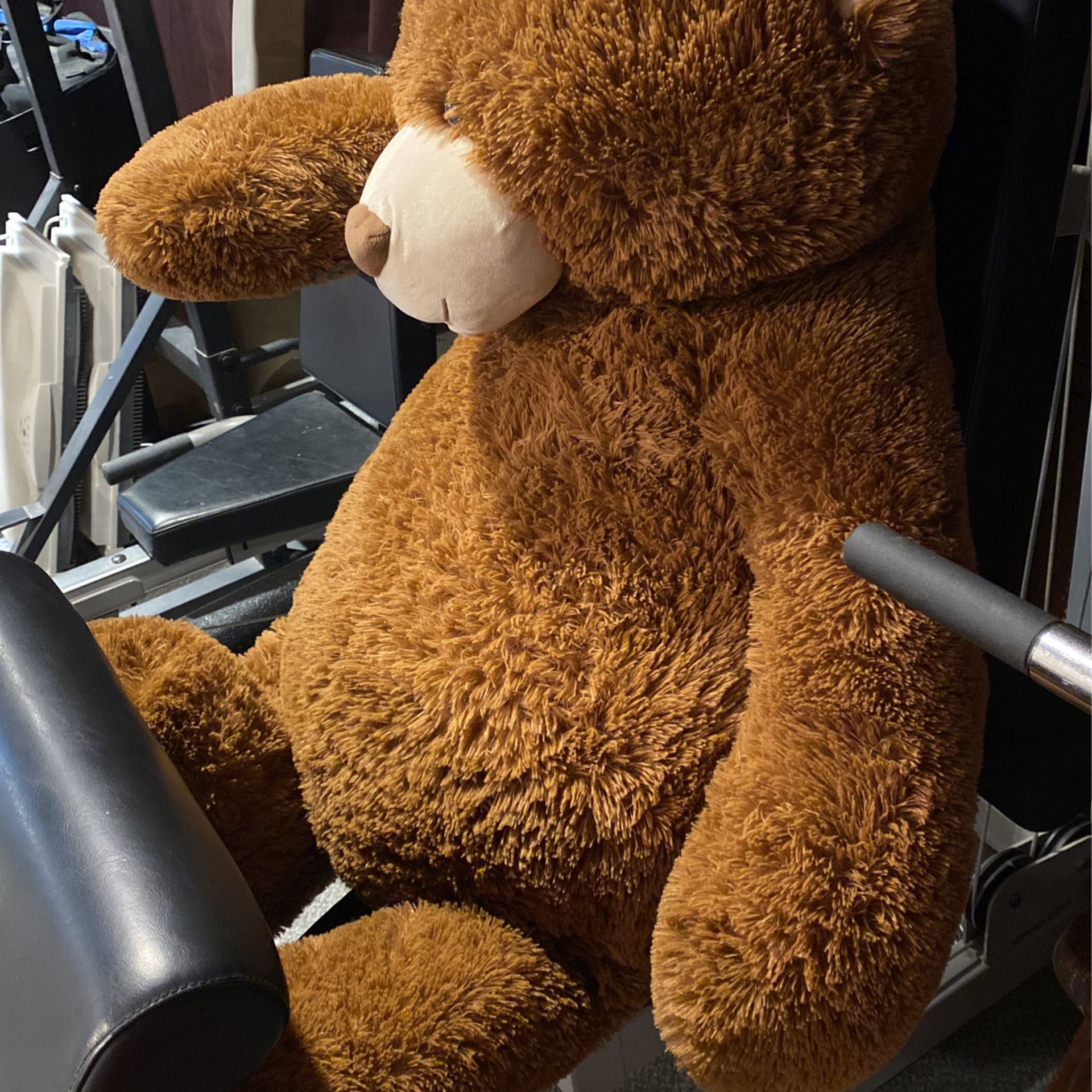 Gigantic Teddy Bear Perfecr Stuffy For Christmas