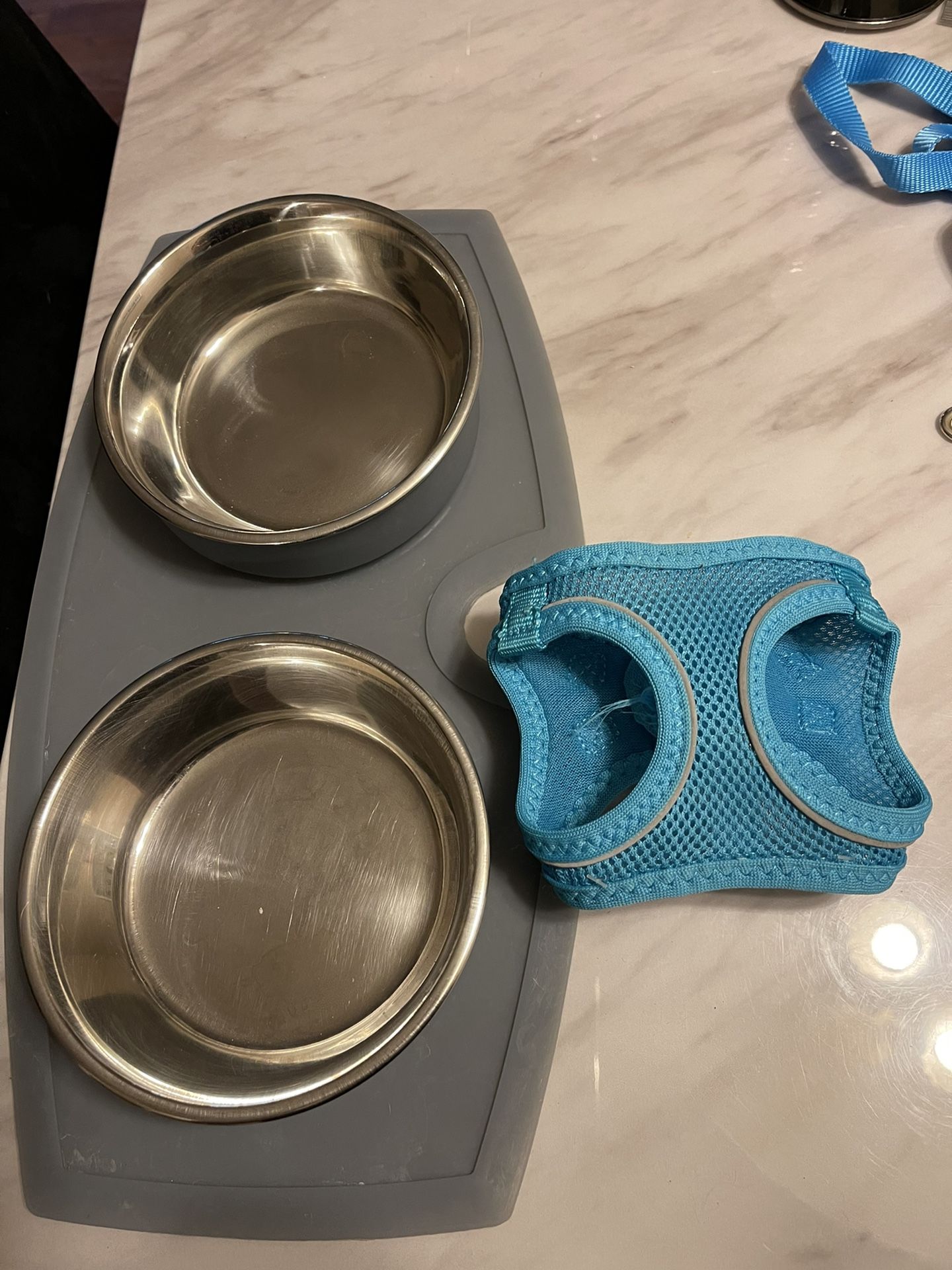 Dog Accessories