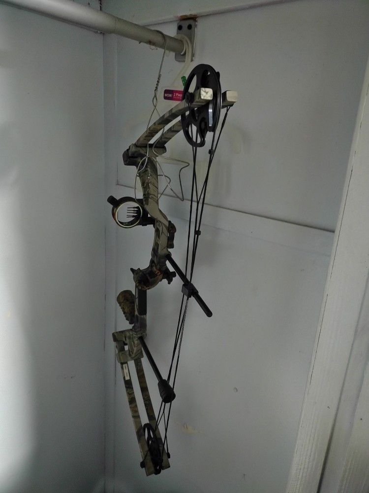 Compound Bow