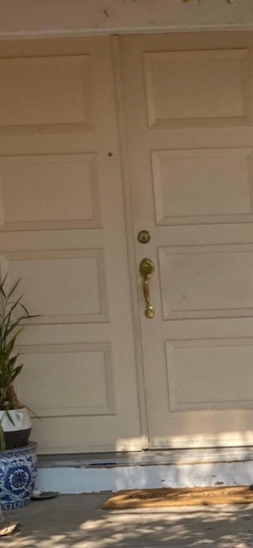 Exteror Front Entry Doors 60 Wide X80 Tall