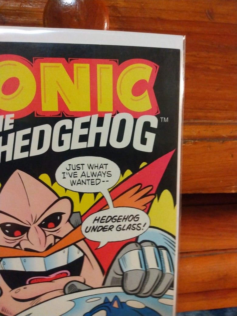 SONIC THE HEDGEHOG #16