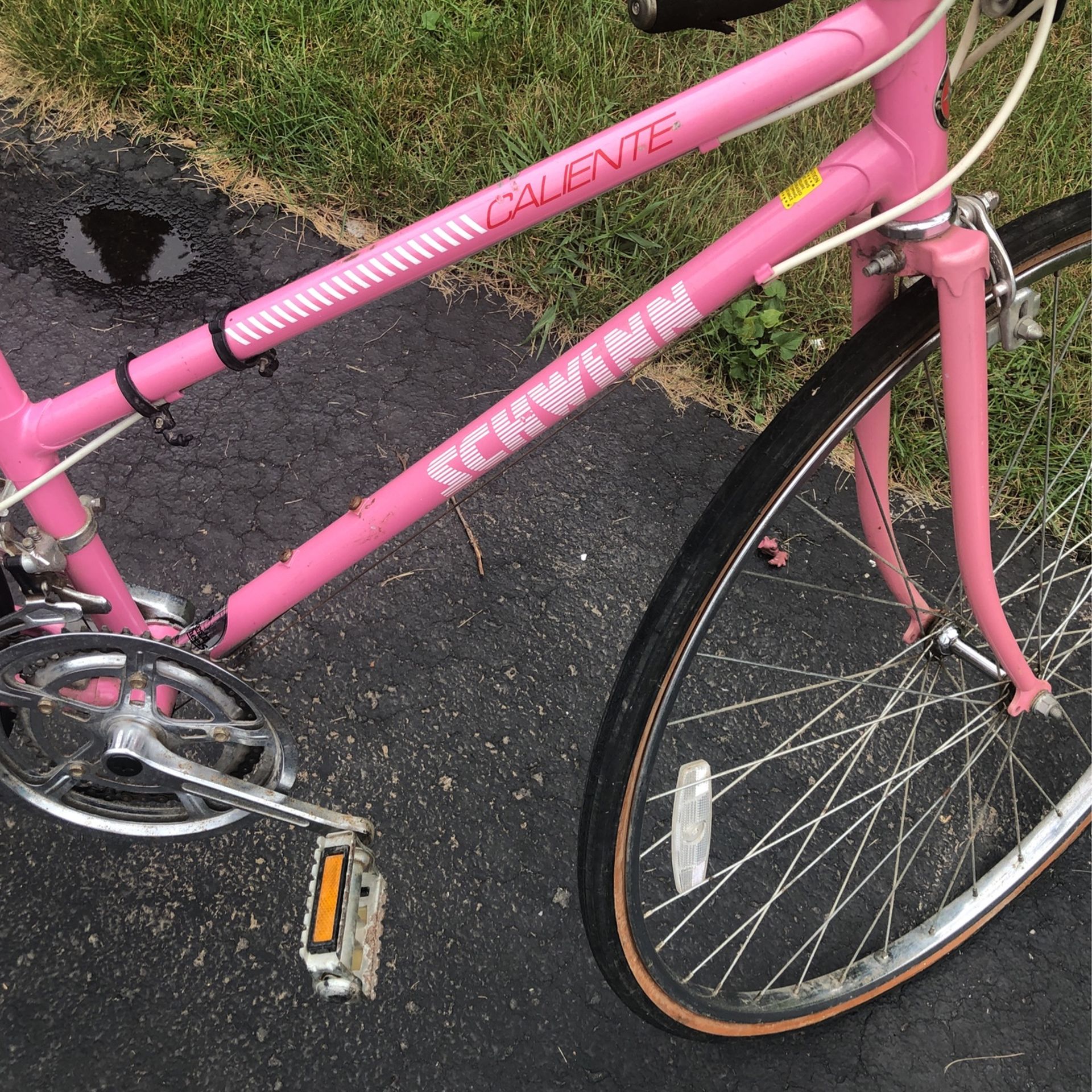 Schwann Caliente Pink 27 In Wheel Bike 10 Speed