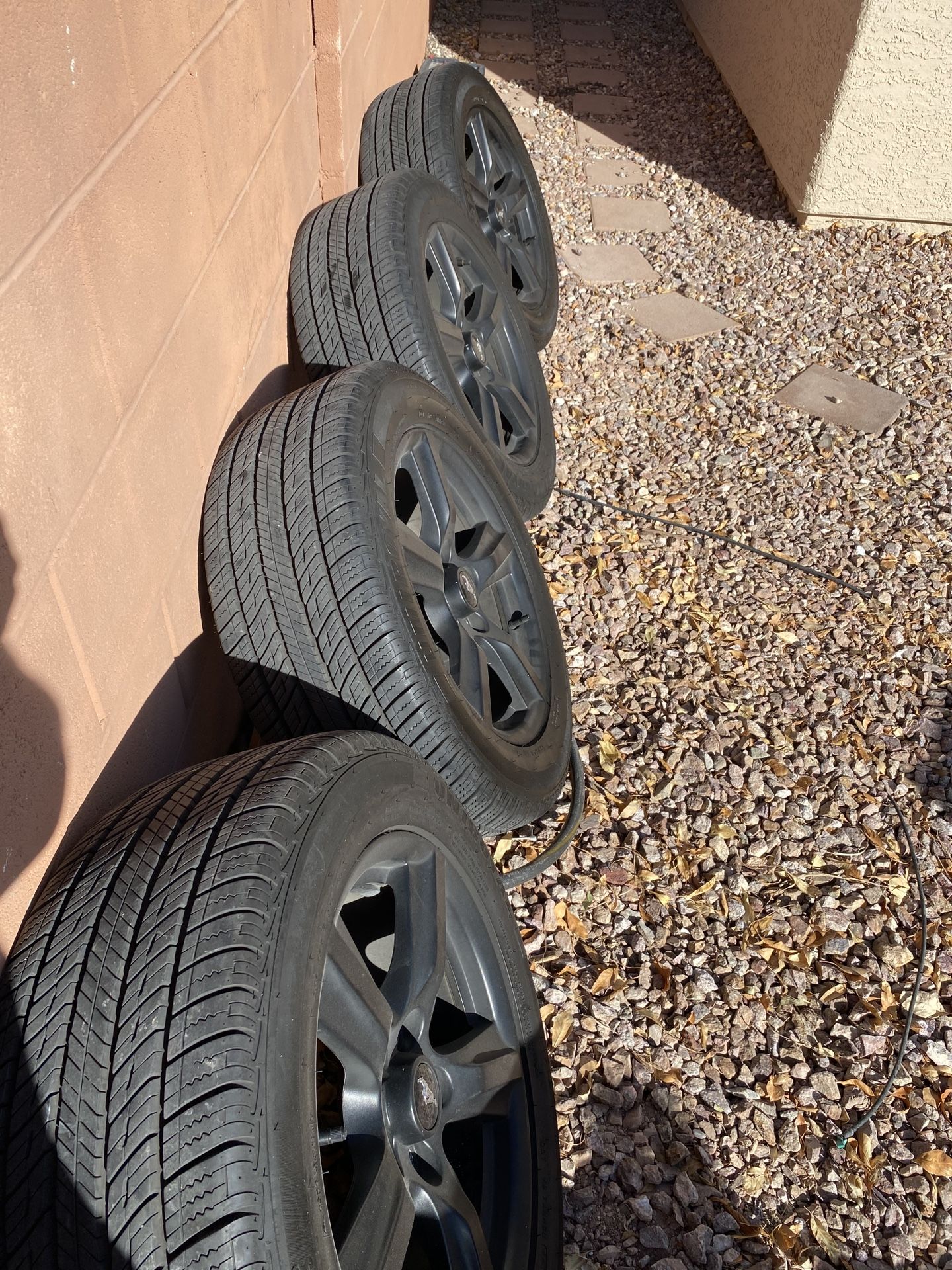 Mustang Stock Rims!