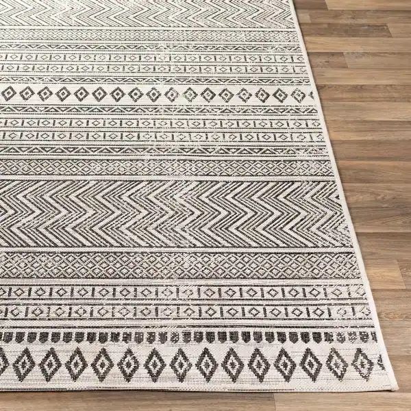 Outdoor Rug— Basically New, 8'10" x 12'