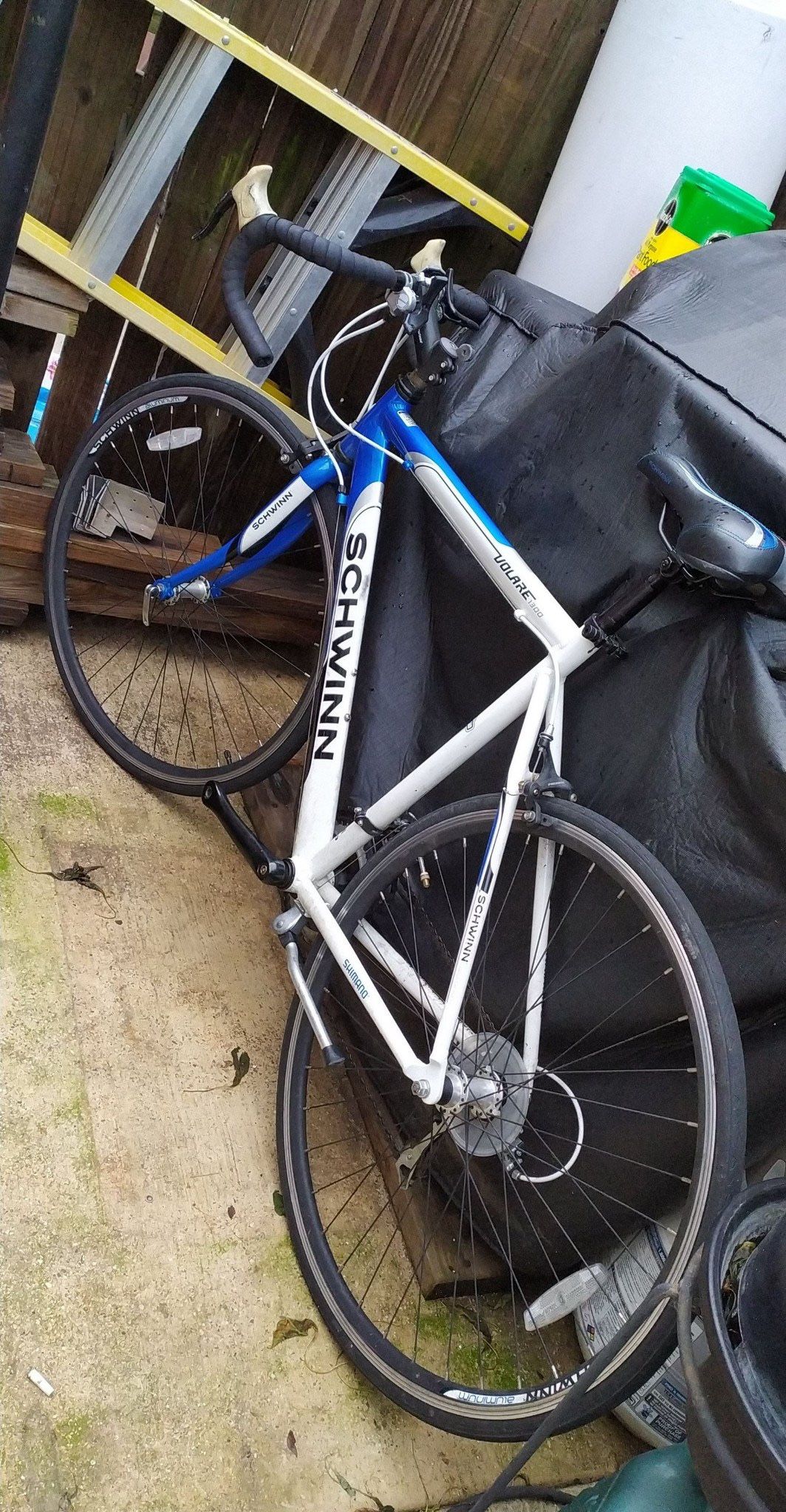 Road Bike - Schwinn