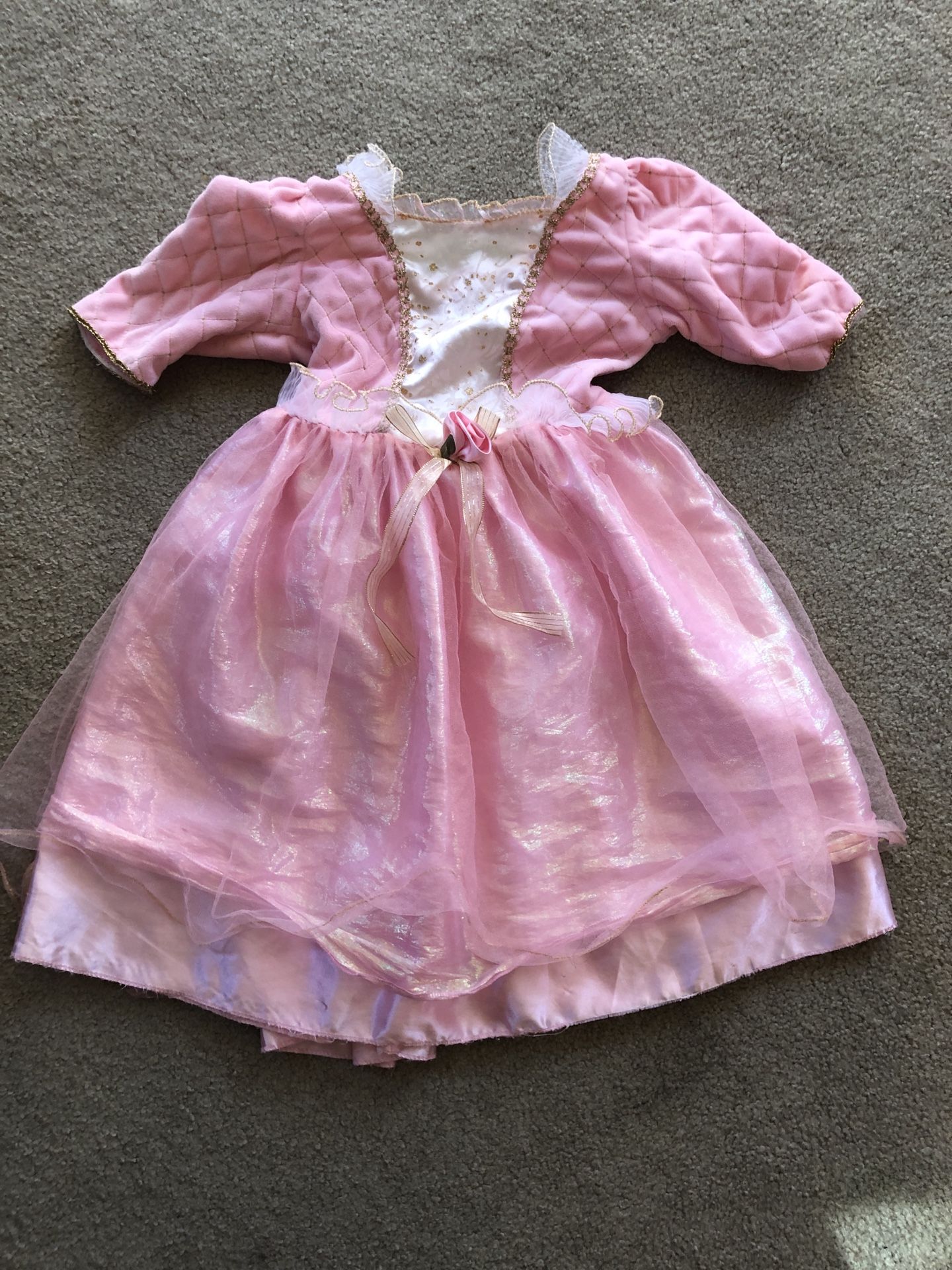 Five Princess costumes (4-5yr old)