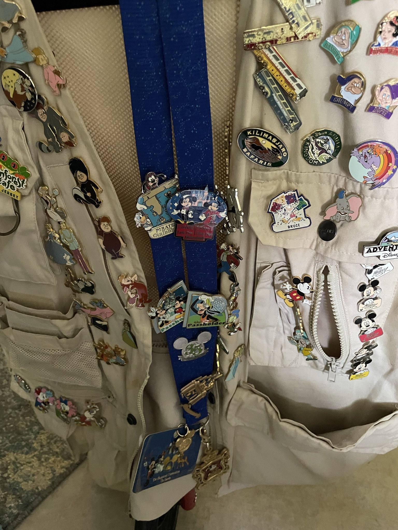 Disney Collectors Pins And Vest