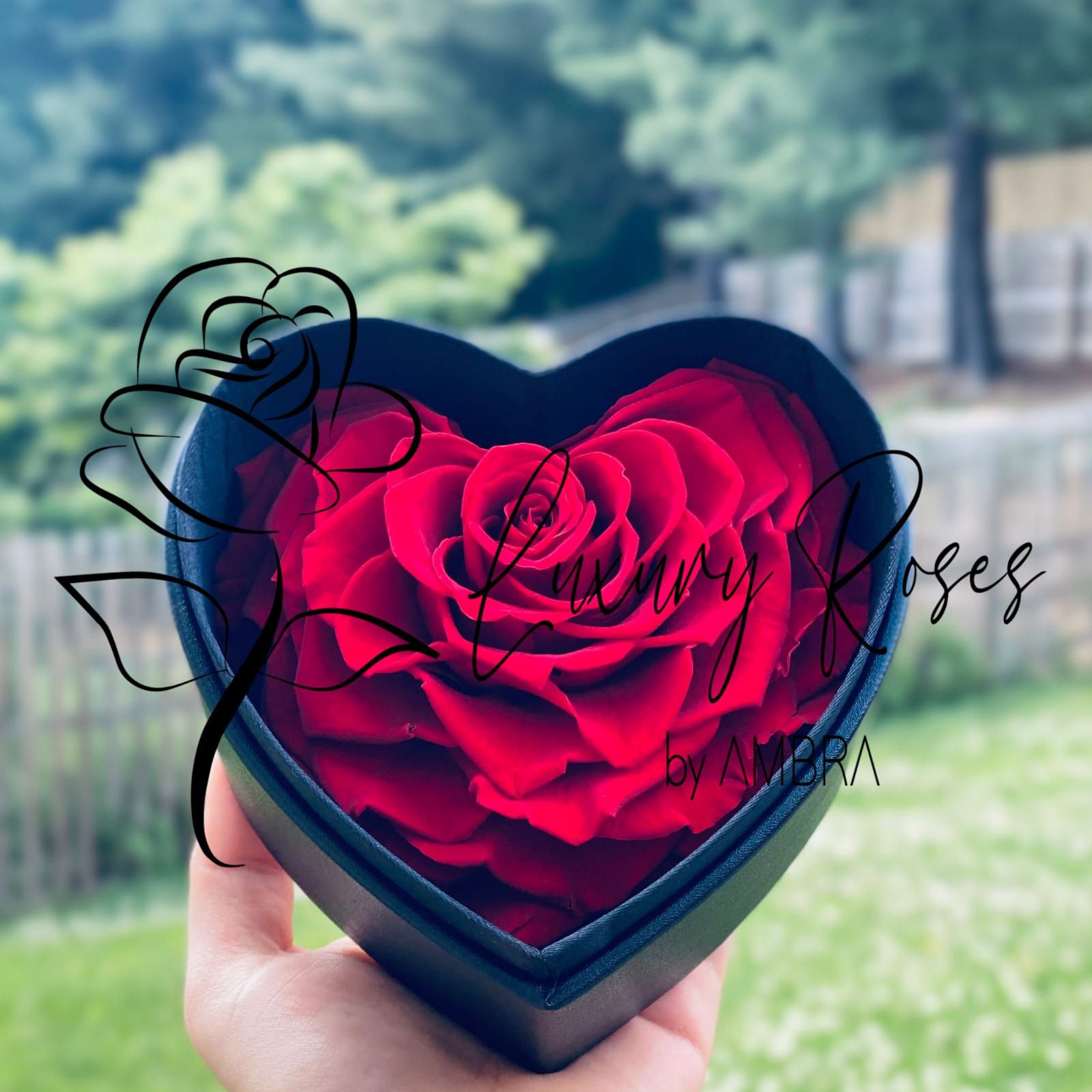 Leather red heart shape box Eternal Roses Box Roses Lasting Preserved Flowers immortal Roses Bday Anniversary Gift Present long lasting 