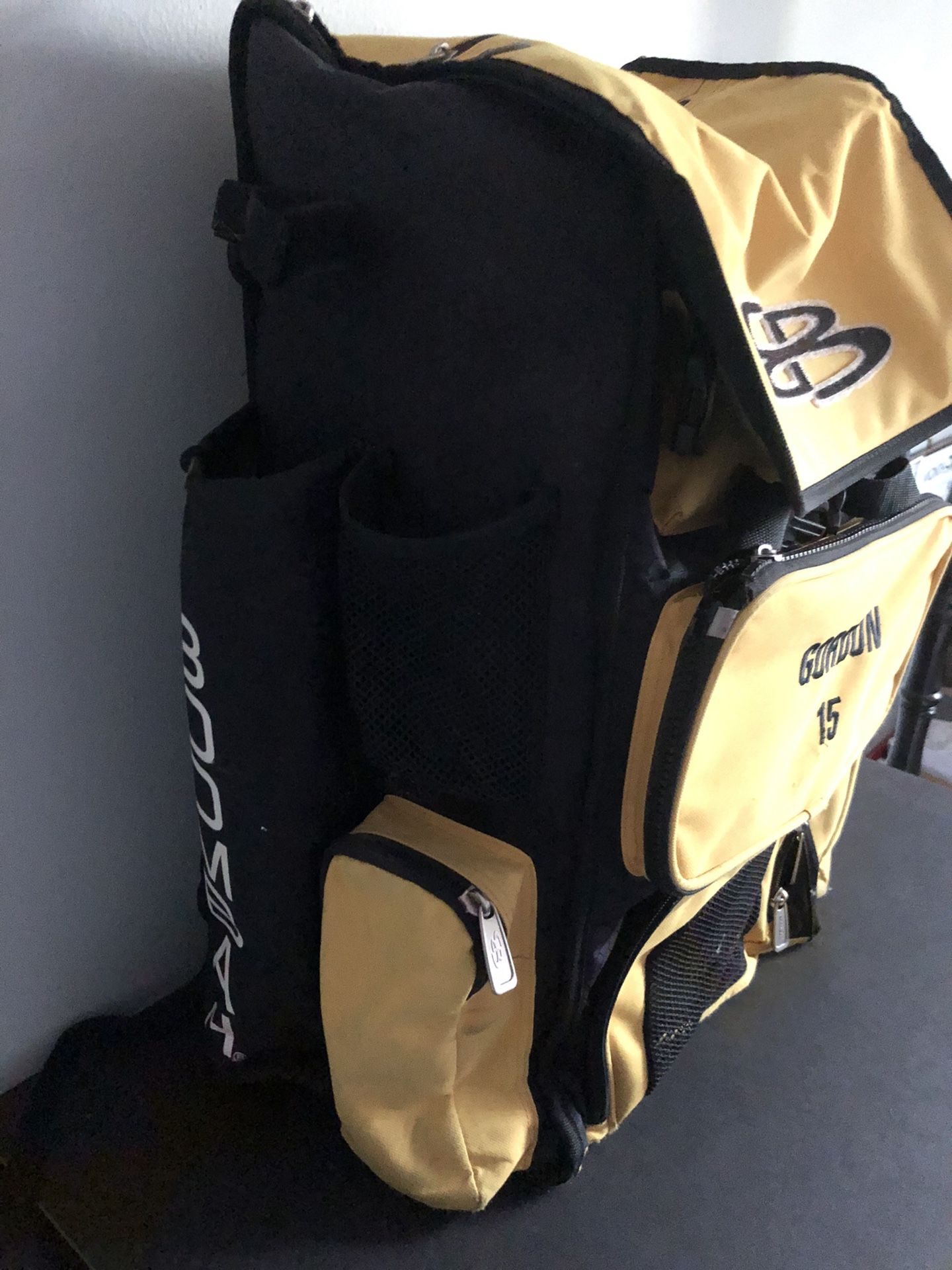 ⚾️Deluxe BoomBah Baseball Backpack With Gear!**🌟
