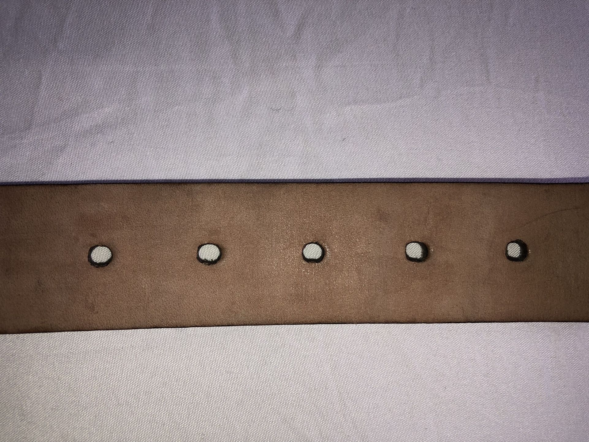 GUCCI Supreme belt with Kingsnake print