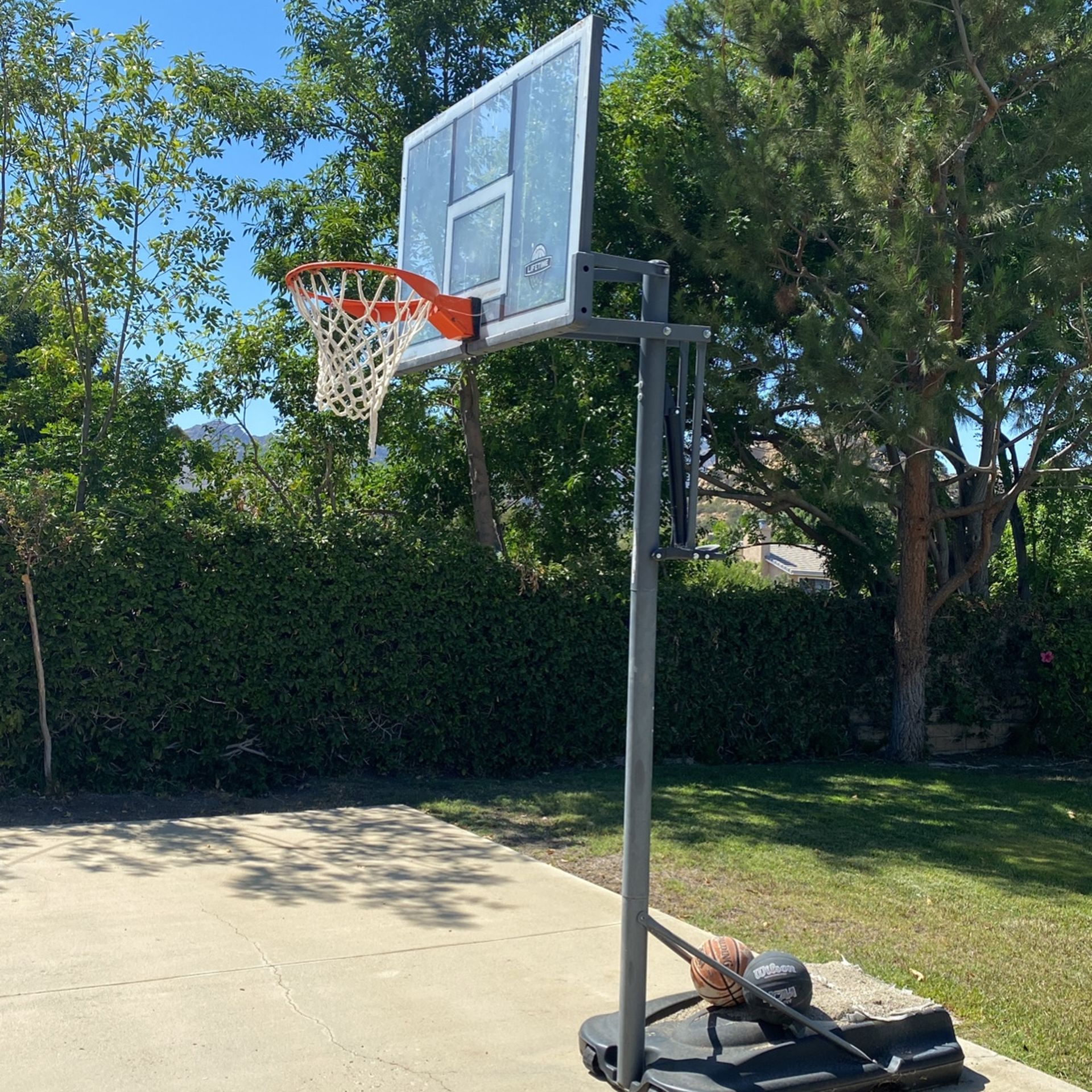 Lifetime Basketball Hoop