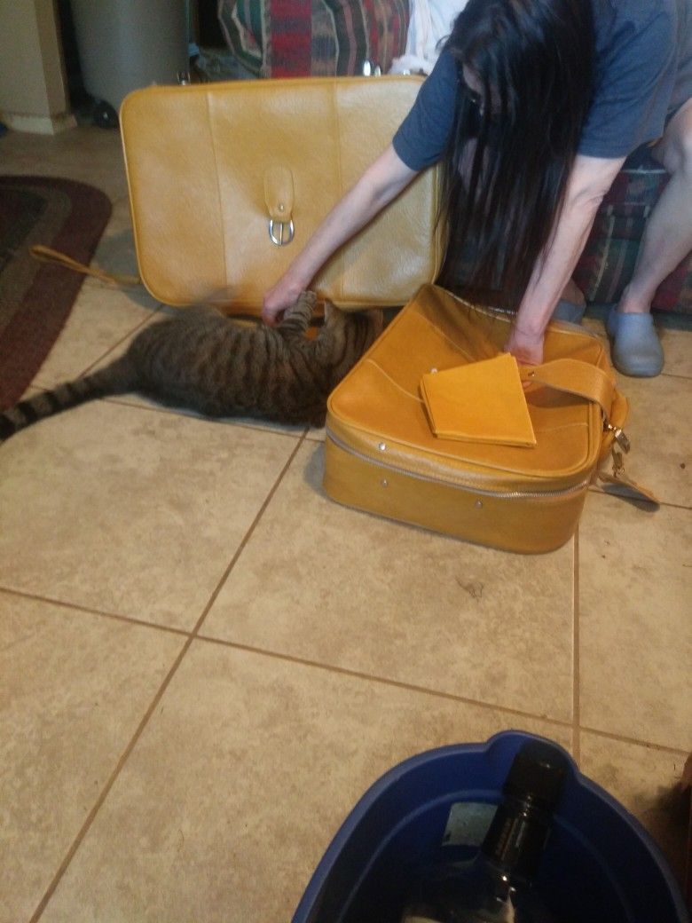 2 Pc Luggage Set. Cat Not Included