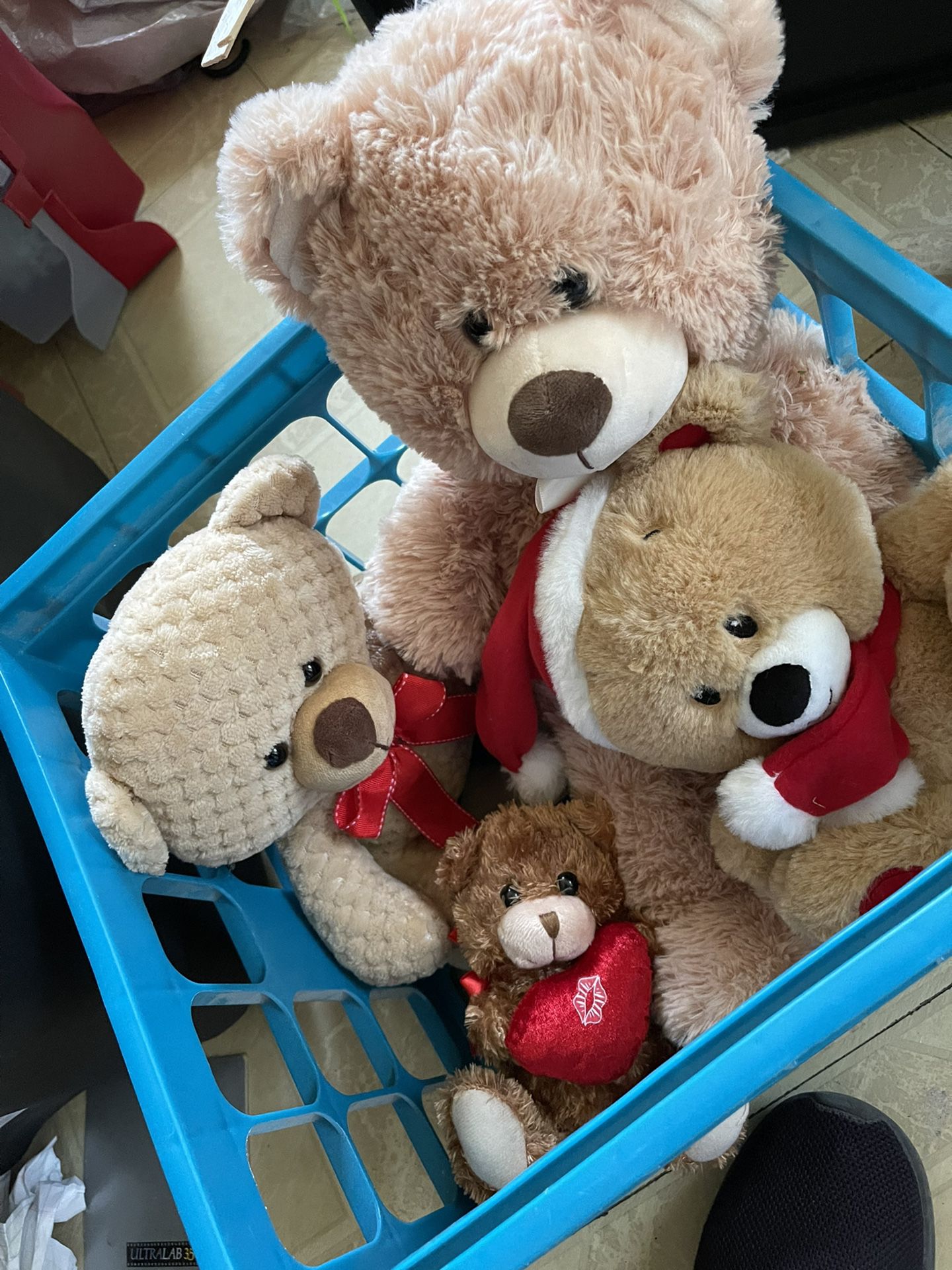  Bears Soft And Ready For A New Home 