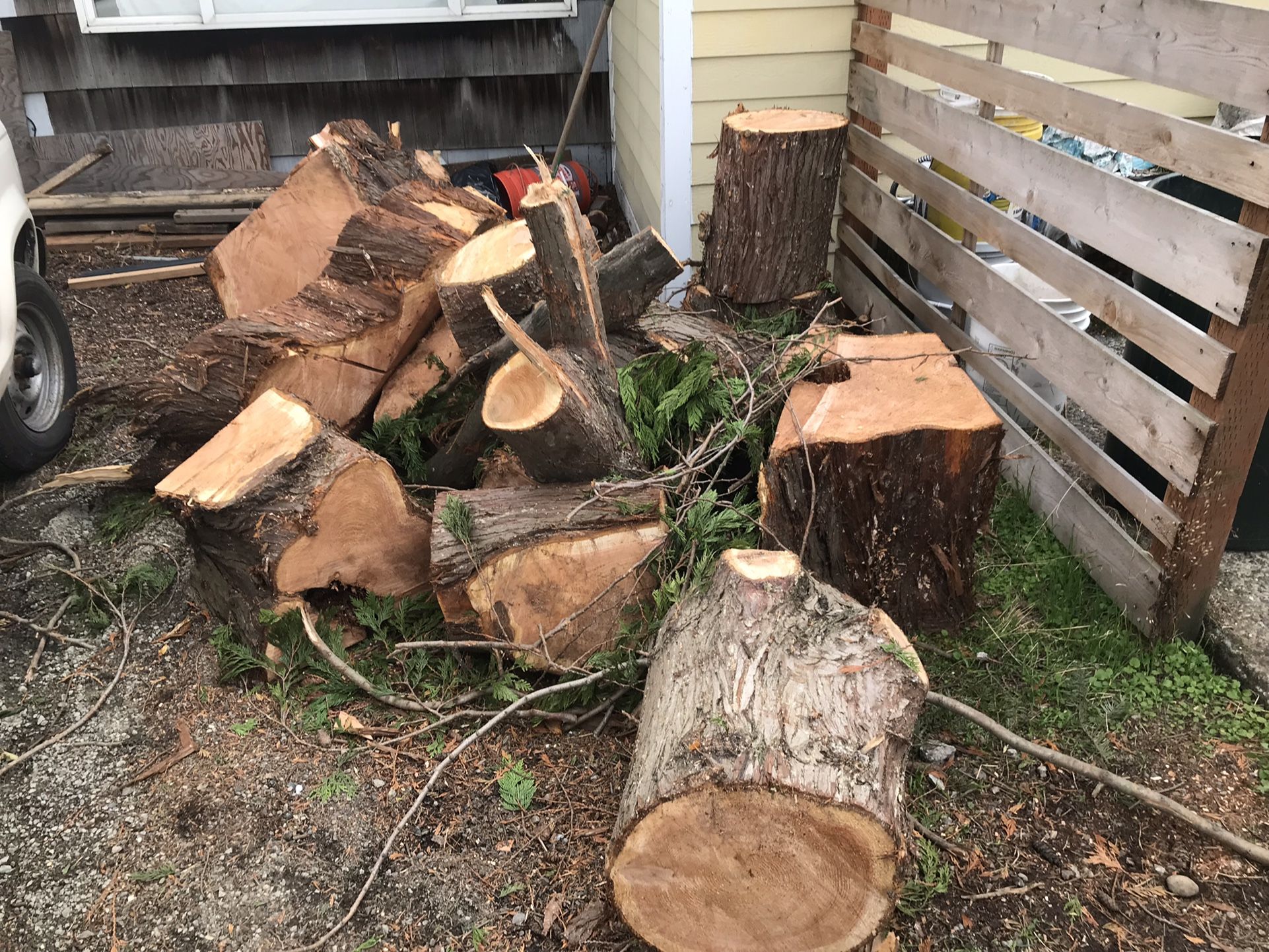 Cedar Rounds