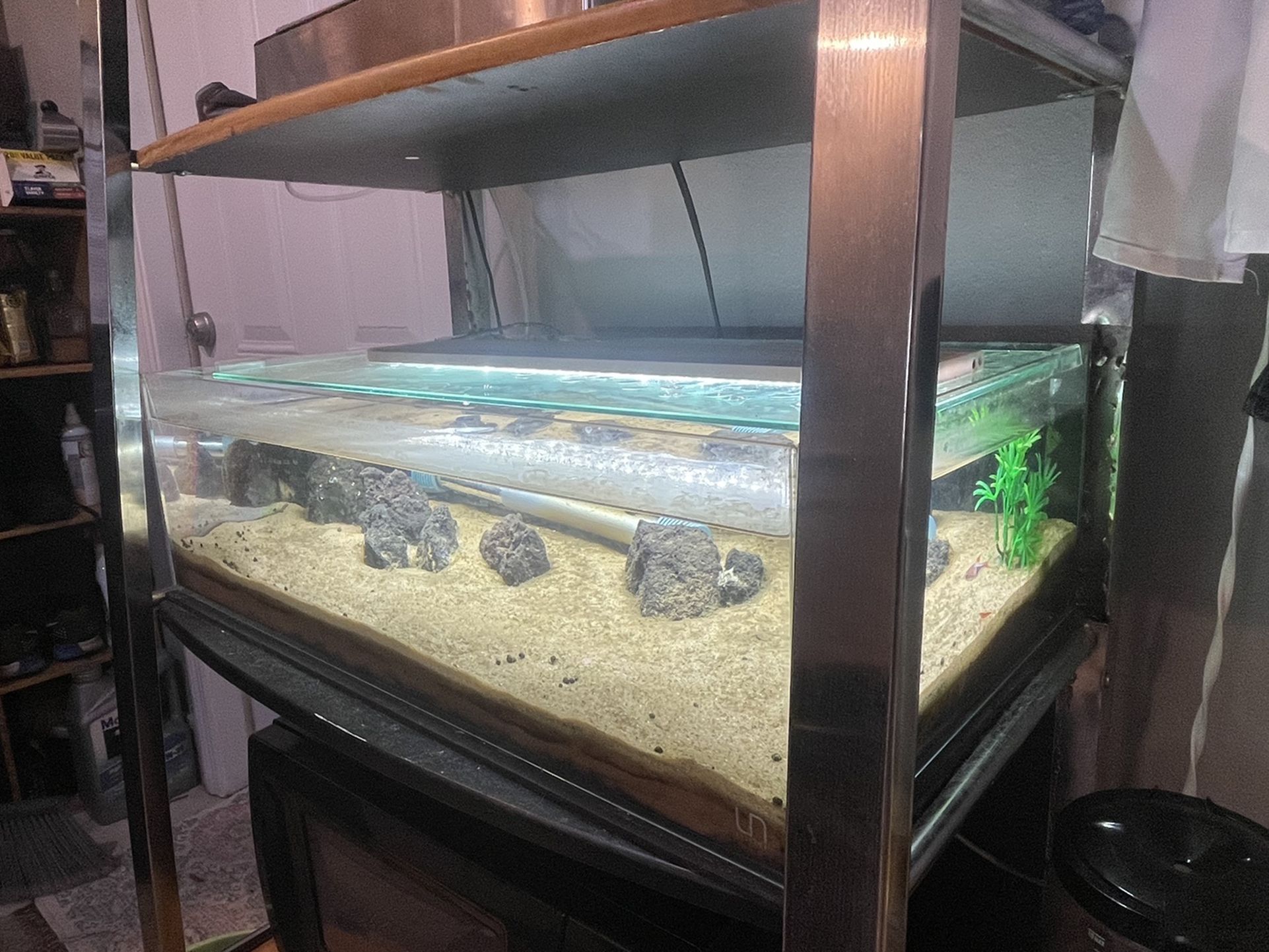 Aquascape Fish Tank Uns 60s 10g Rimless Aquarium For Sale In Ocoee, Fl 