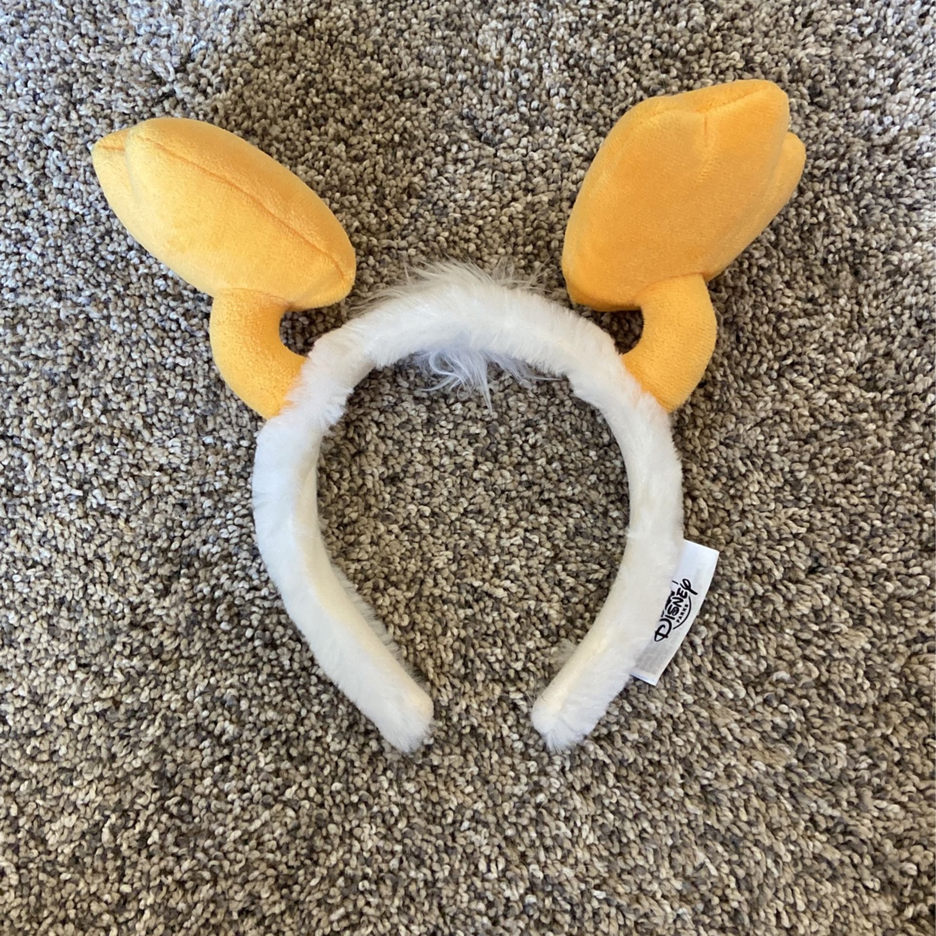 Mickey Ears
