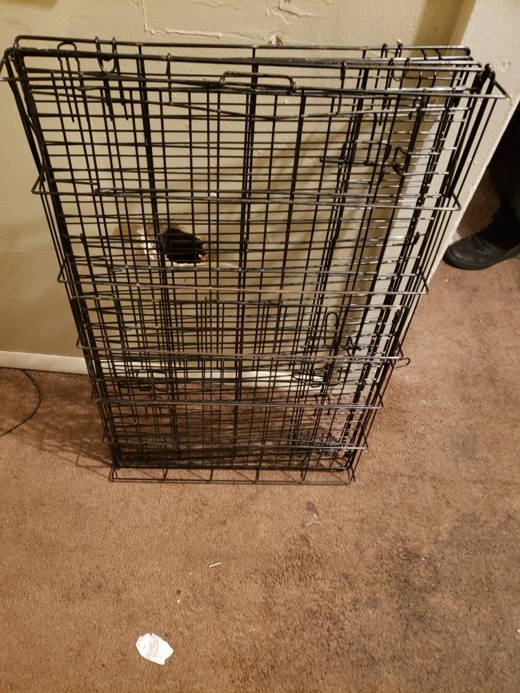Large 2 Door Dog Crate