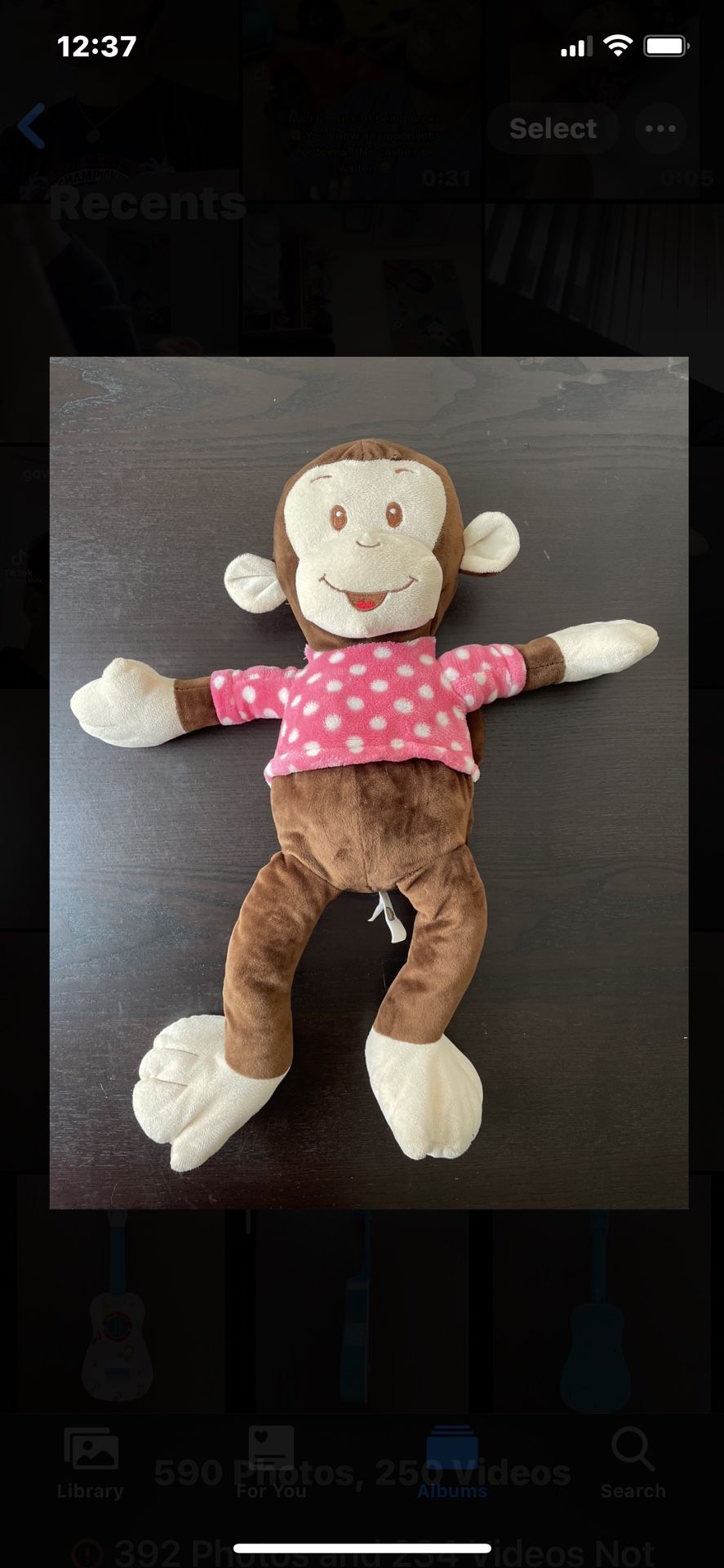Monkey Plushy/stuffed Animal
