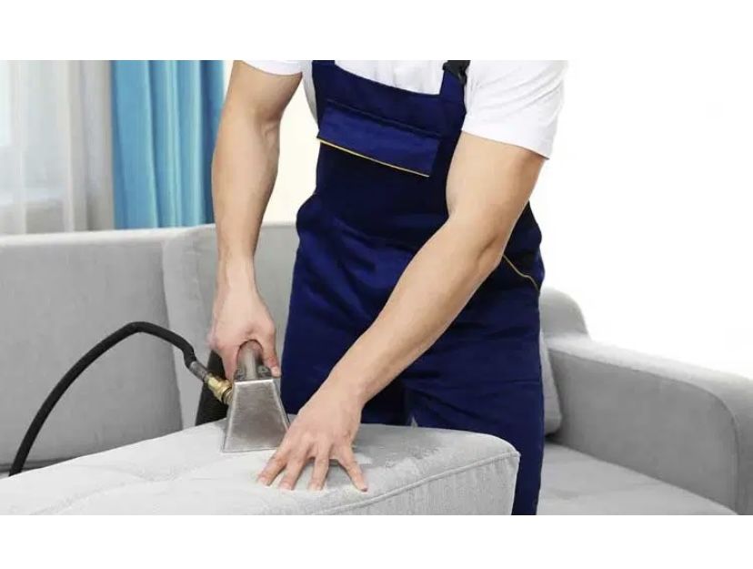 Carpet Upholstery And Sofa Cleaner MorsaWash