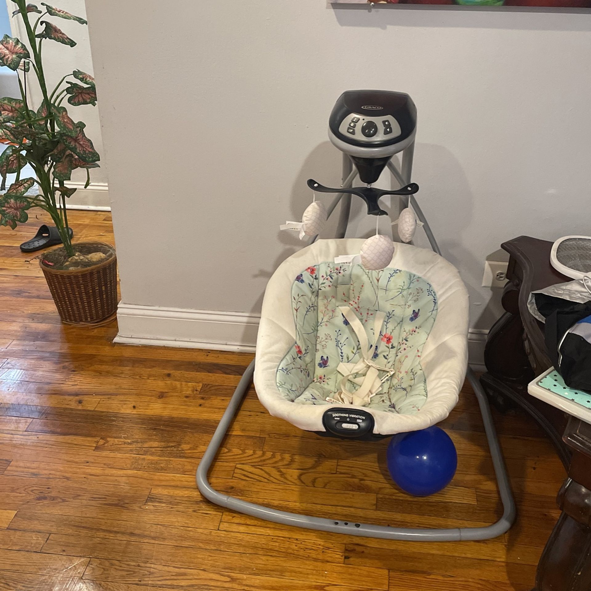 Graco Motion Swing