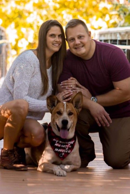 Engagement Dog Bandanas