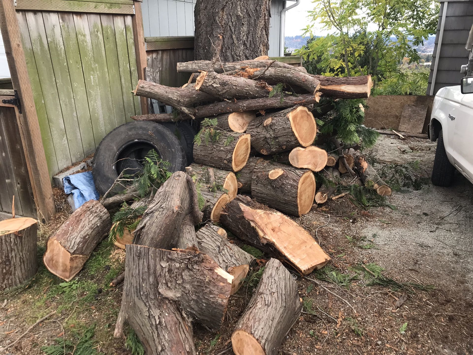 Cedar Rounds