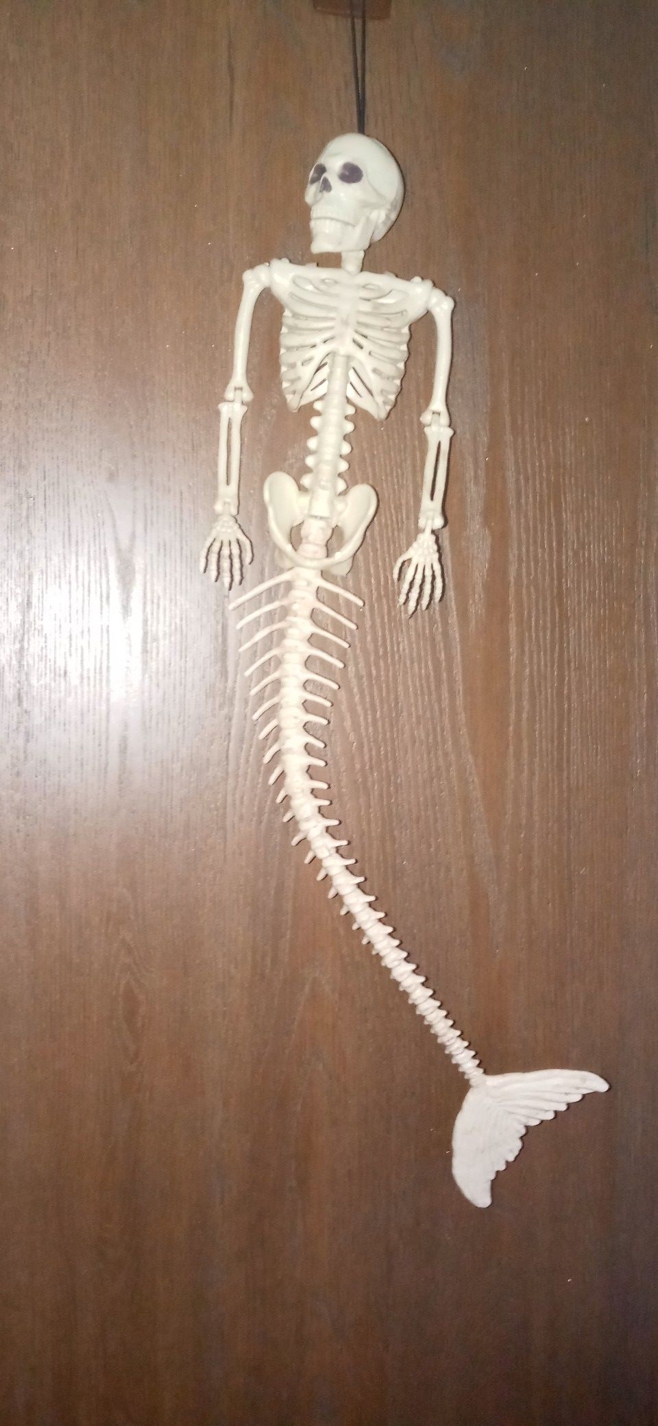 Halloween decoration