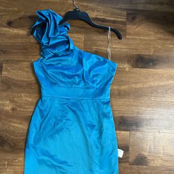 Brand New Womans Forever 21 brand Blue Dress Up For Sale  Thumbnail