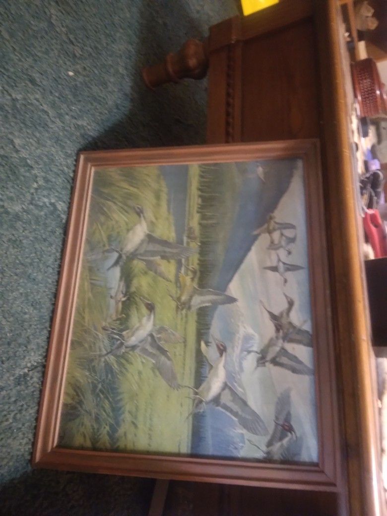 Vintage Hand Painted Duck Pictures