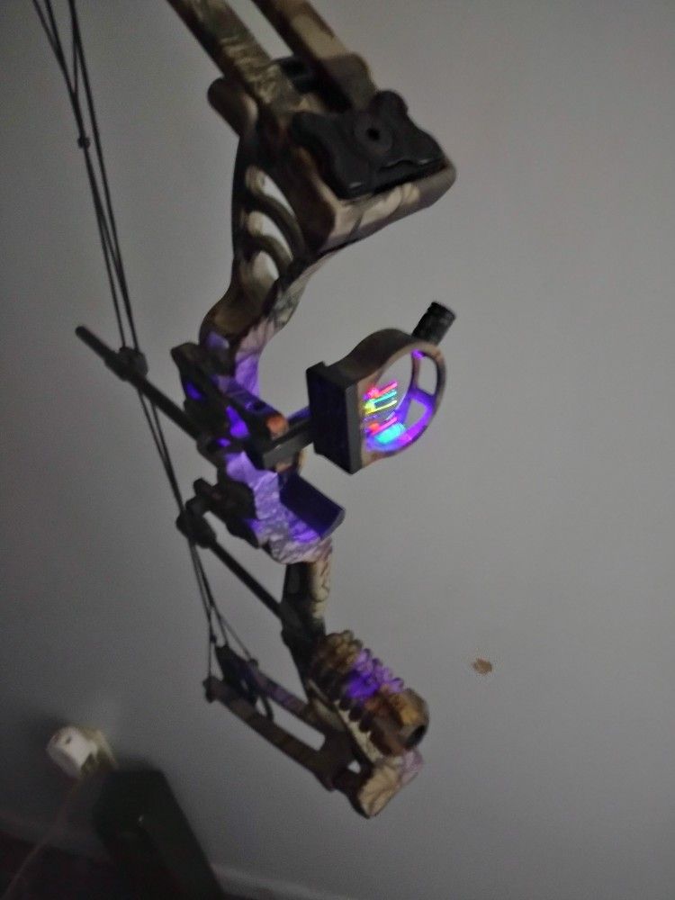 Compound Bow